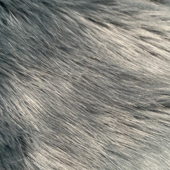 Brand new Express coat.  Worn once for ten minutes. - Picture 2 of 2